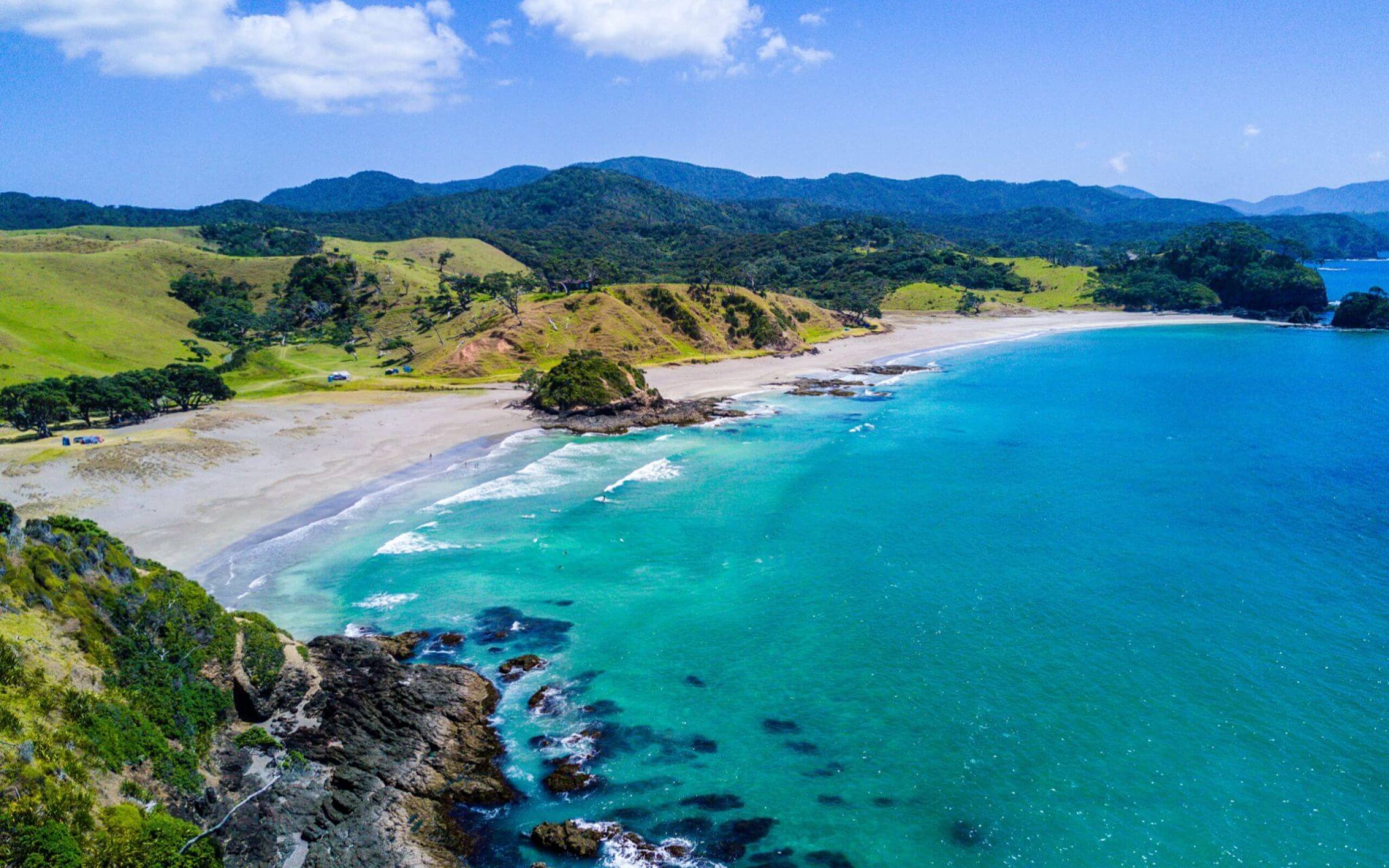 Wishing You a Safe NZ Christmas