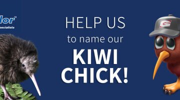 Help to name our Kiwi hatchling!