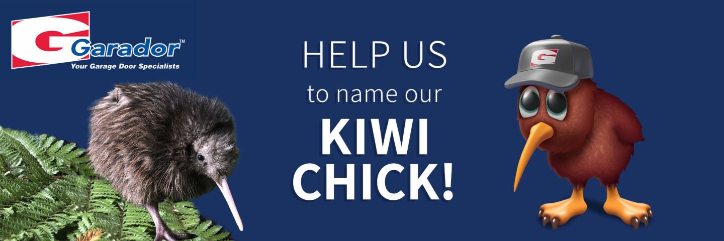 Help to name our Kiwi chick!