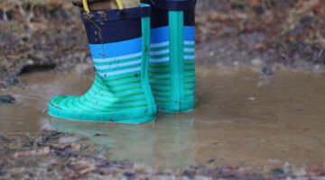 Prep for New Zealand Winter: 5 Steps for the Yard