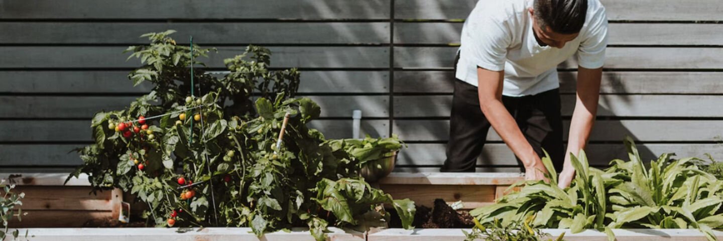 How to Create a Container Garden