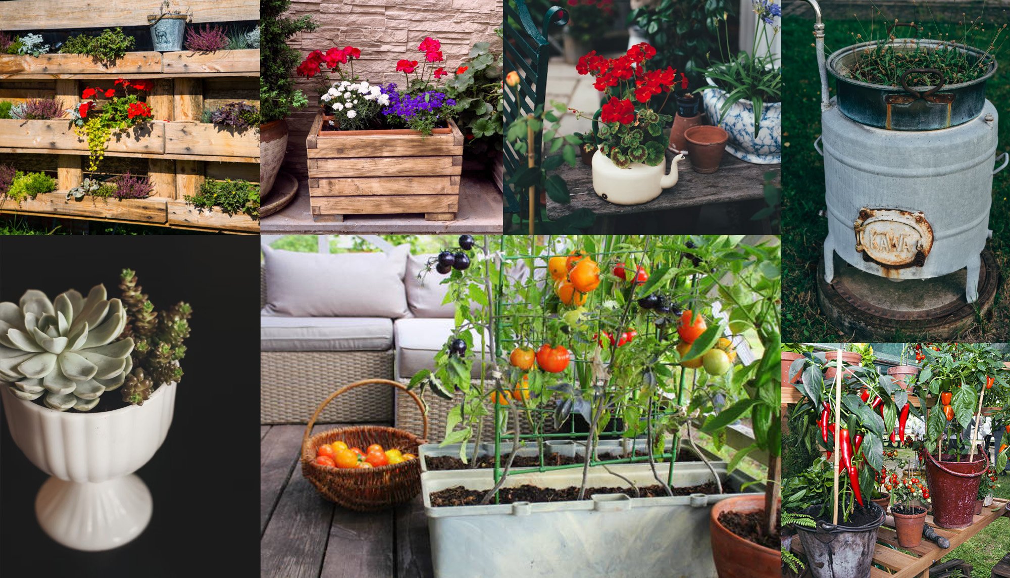 GAR_ContainerGarden_Oct22_Containers.jpg