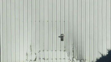 The True Cost of a Cheap Garage Door Might Surprise You